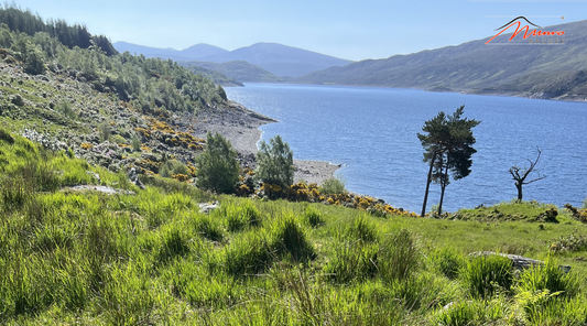 What Equipment Will I Need To Go Munro Bagging In Scotland?