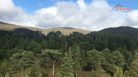Camping Equipment Is Perfect for Munro-Bagging Adventures