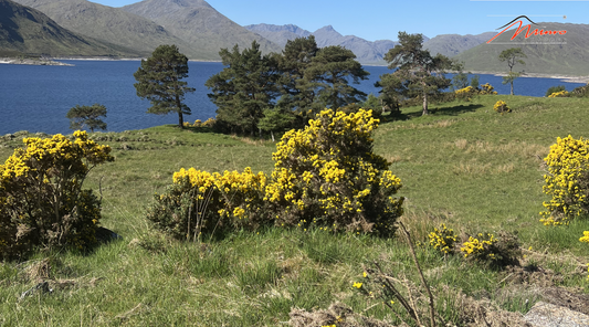 Why Munro Bagging and Camping is the Best Way to See Scotland