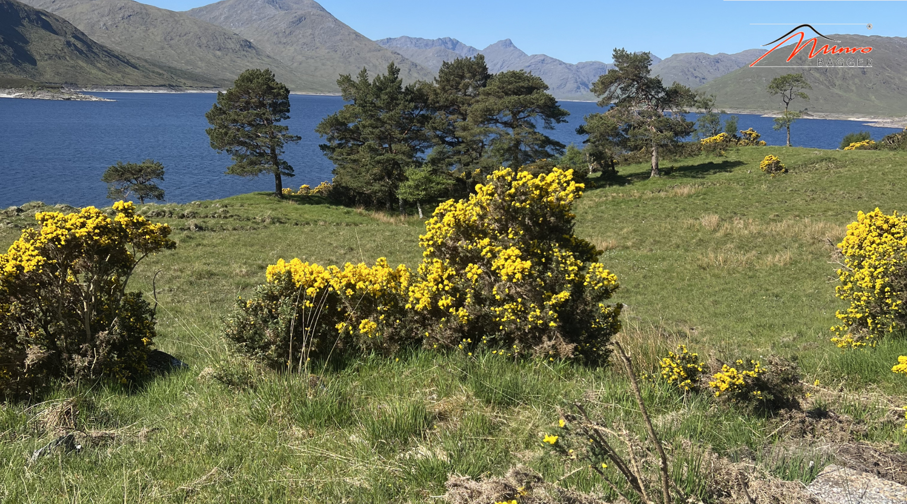 Why Munro Bagging and Camping is the Best Way to See Scotland