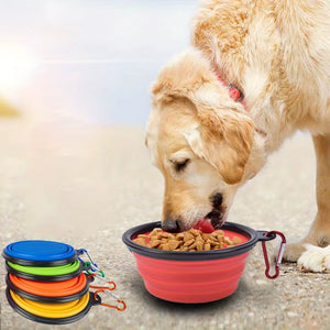 Dog Folding Silicone Portable Travel Bowl